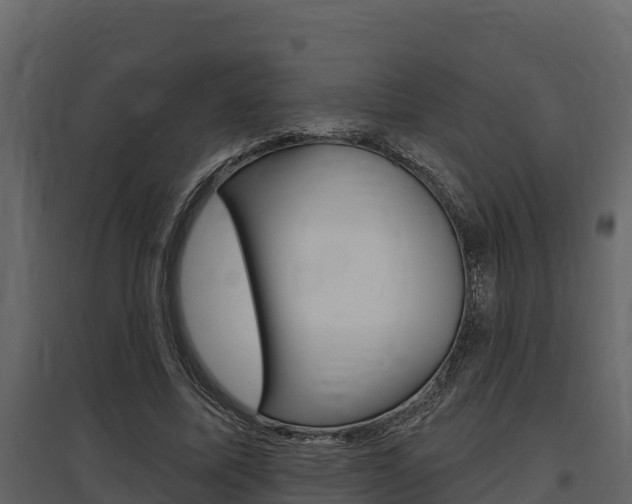 X0000097810587200803140801