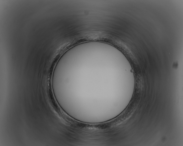 X0000097810590200803140801