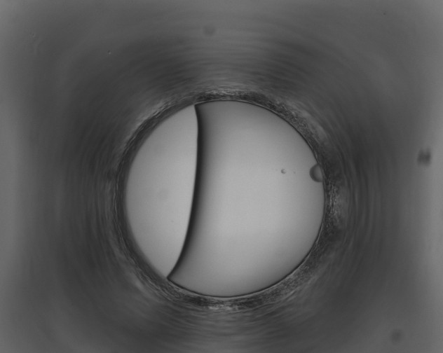 X0000097810591200803140801