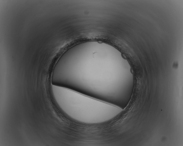 X0000097810592200803140801