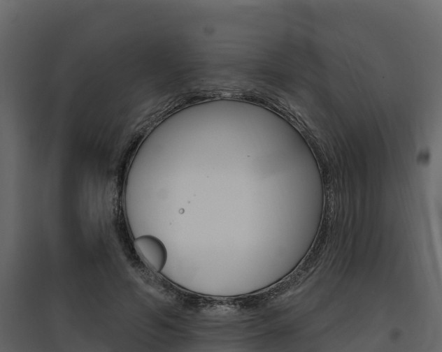 X0000097810594200803140801