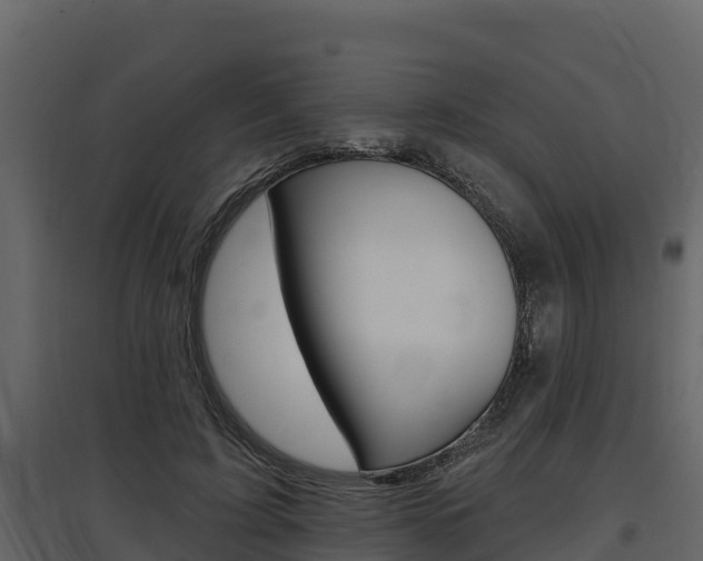 X0000097810595200803140801