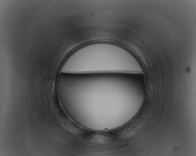X0000097810596200803140800