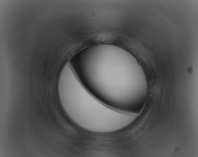 X0000097810597200803140800