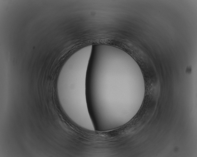 X0000097810599200803140800