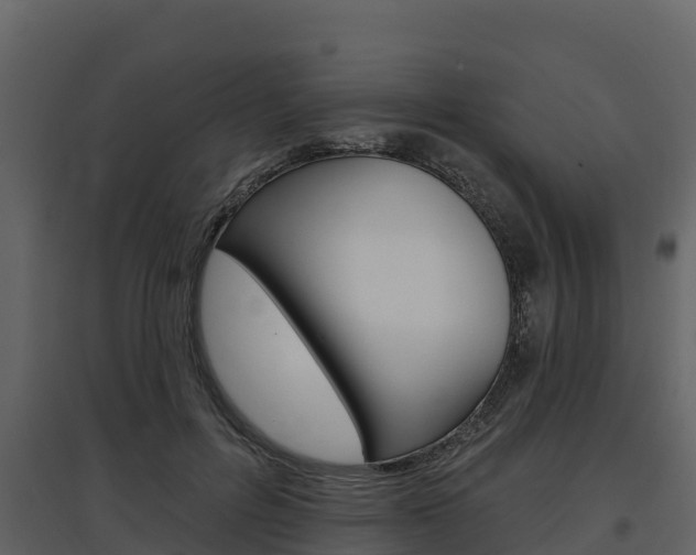 X0000097810600200803140800