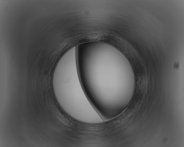 X0000097810601200803140800