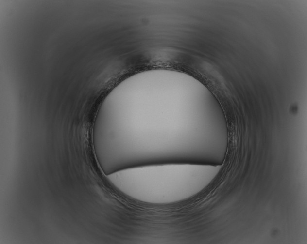 X0000097810603200803140800