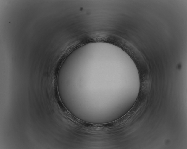 X0000097810604200803140800