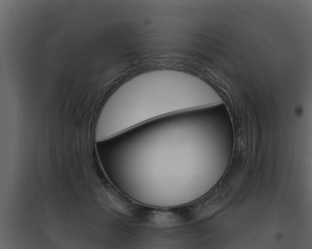 X0000097810605200803140800