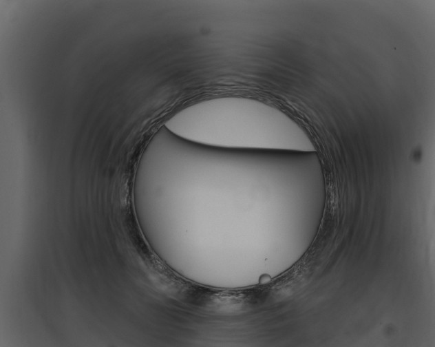 X0000097810606200803140800