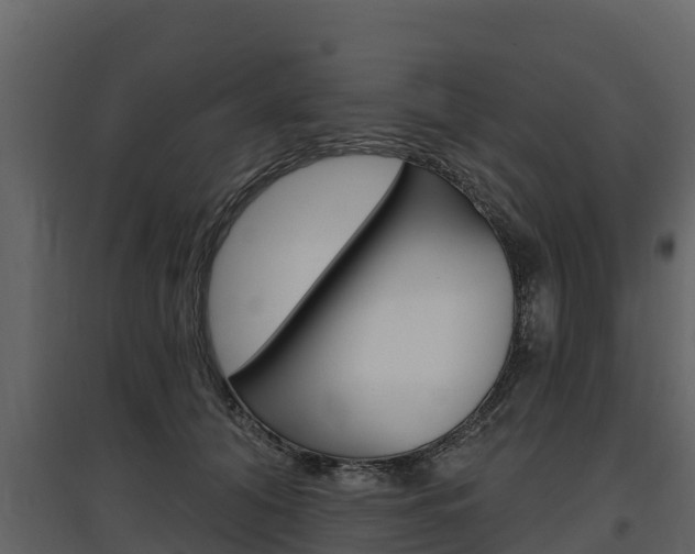 X0000097810608200803140800