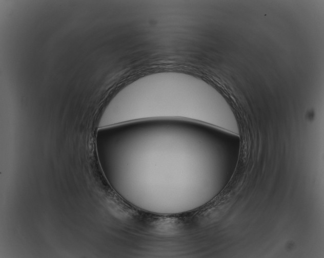 X0000097810609200803140800