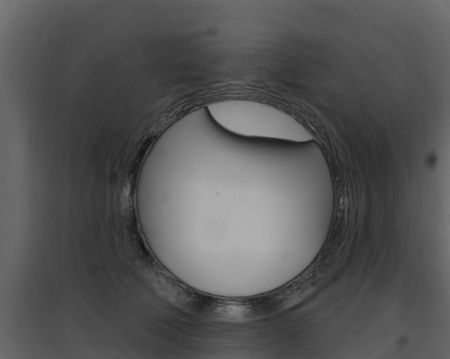 X0000097810610200803140800
