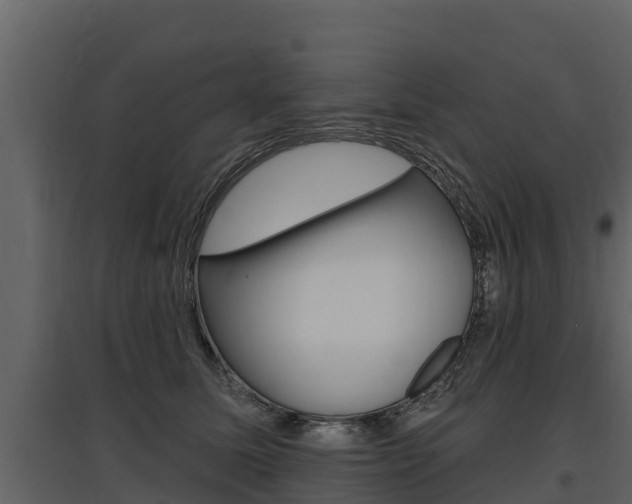 X0000097810611200803140800
