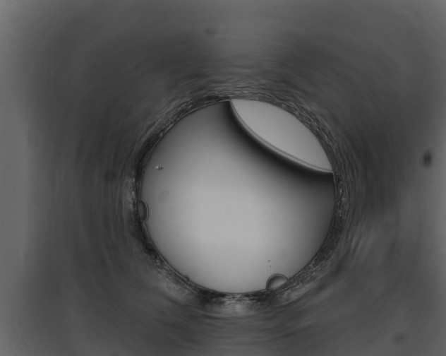 X0000097810612200803140800