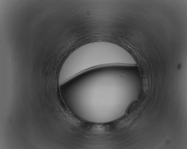 X0000097810613200803140800