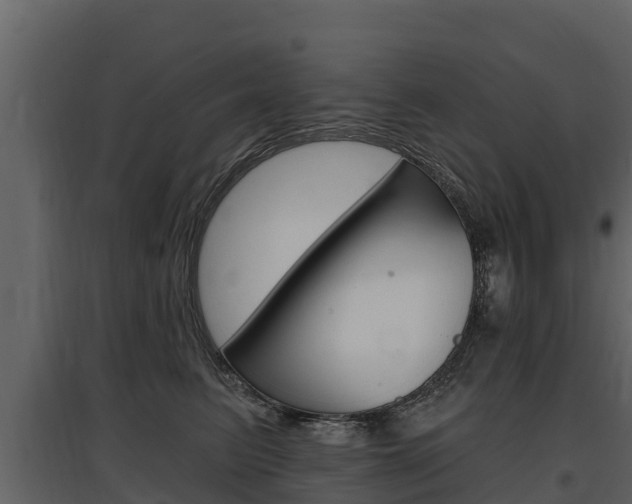 X0000097810615200803140800
