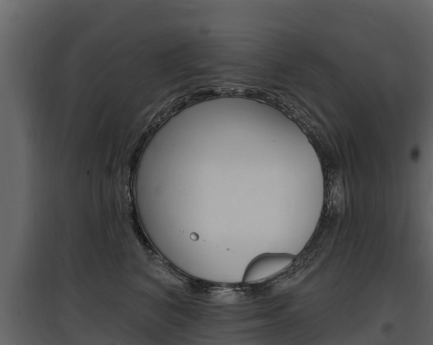 X0000097810616200803140800