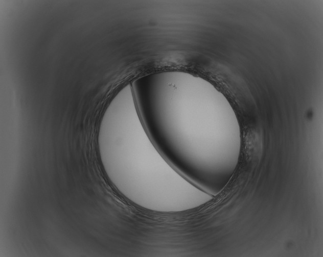 X0000097810617200803140800