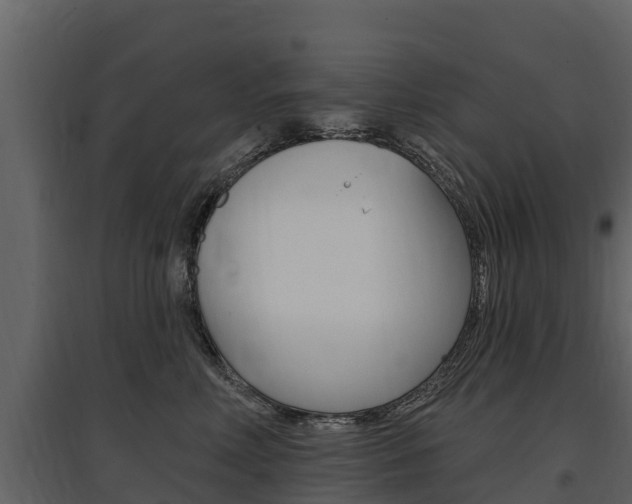 X0000097810618200803140800