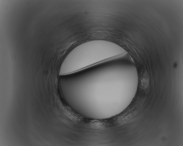 X0000097810620200803140800
