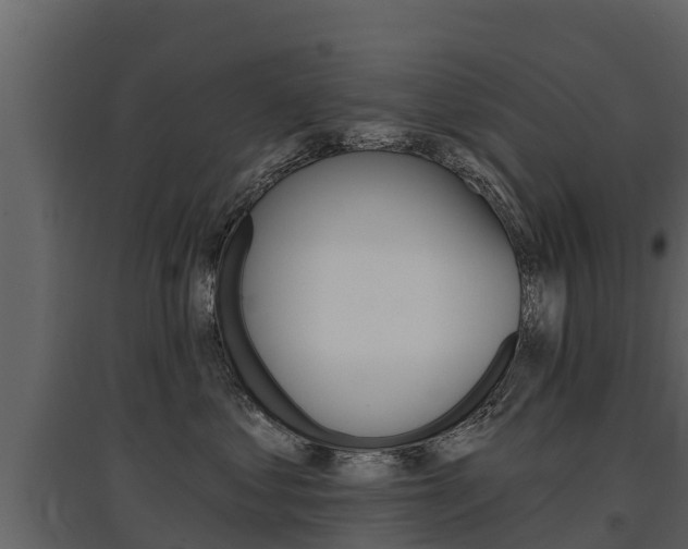 X0000097810621200803140800