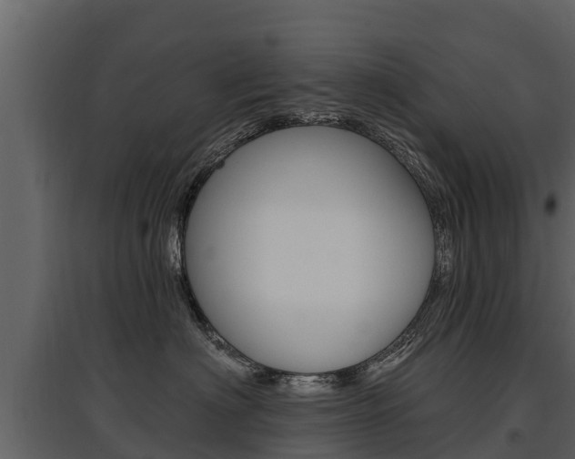 X0000097810622200803140800