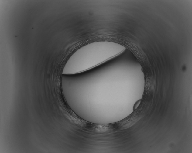 X0000097810623200803140800