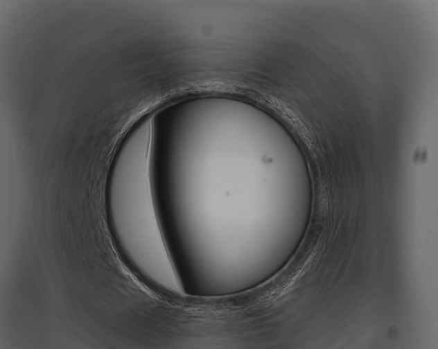 X0000097810625200803140759
