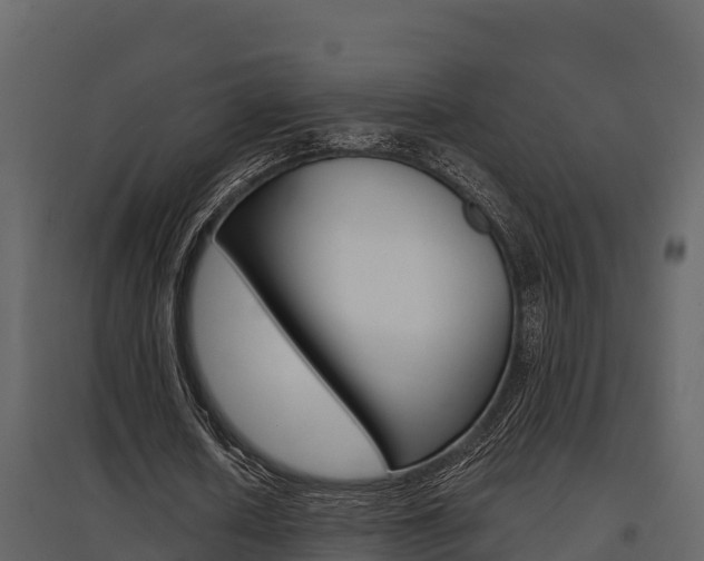 X0000097810626200803140759