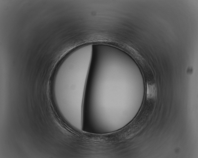 X0000097810627200803140759