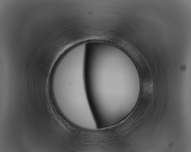 X0000097810628200803140759