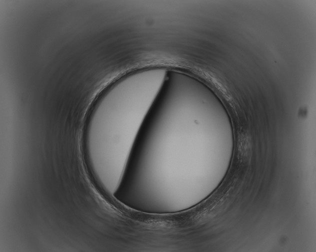 X0000097810629200803140759