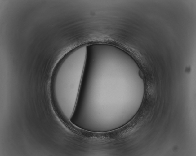 X0000097810630200803140759