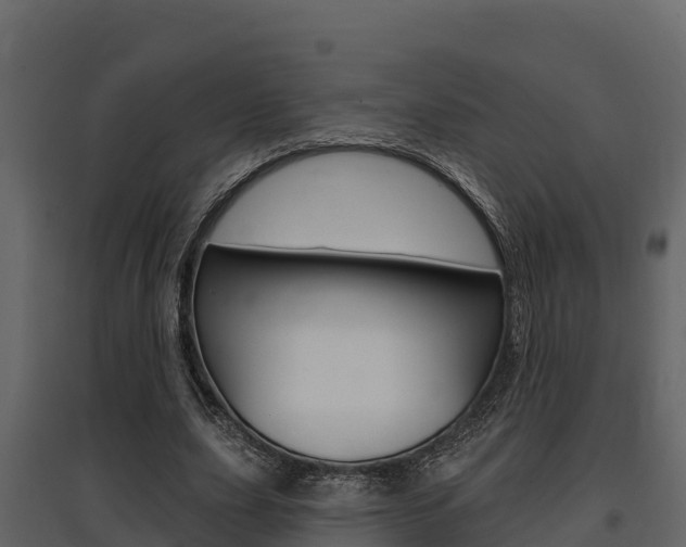 X0000097810631200803140759