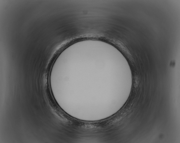 X0000097810632200803140759