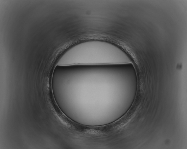 X0000097810633200803140759