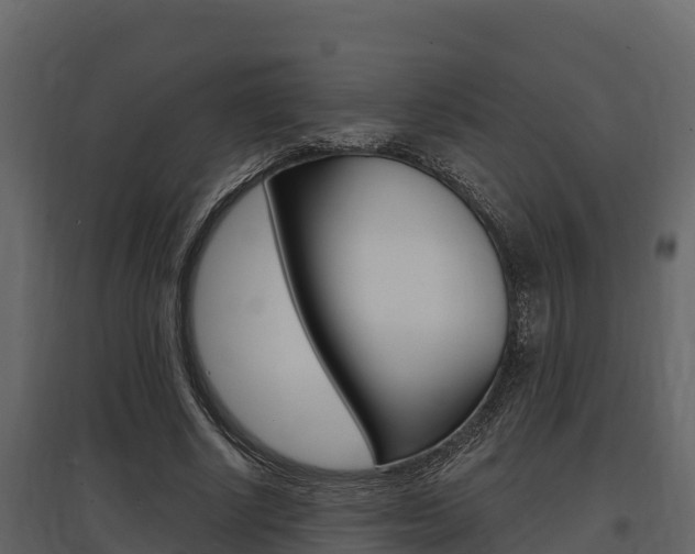 X0000097810634200803140800