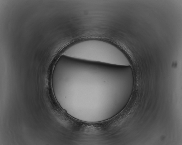 X0000097810635200803140800