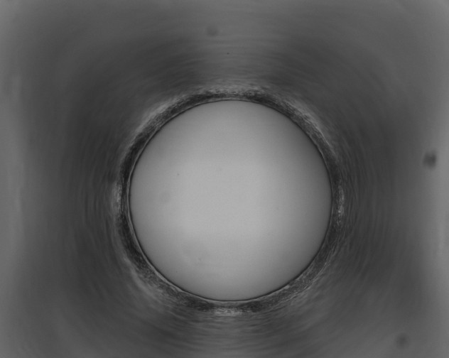 X0000097810636200803140800