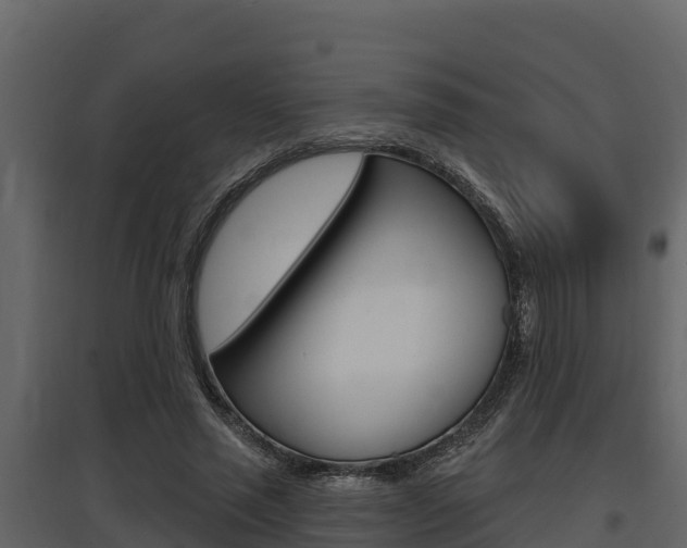 X0000097810637200803140800