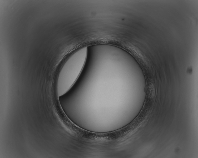 X0000097810638200803140800