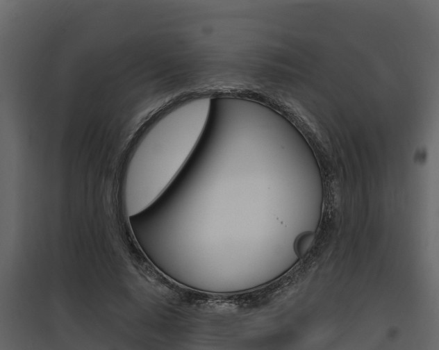X0000097810640200803140800