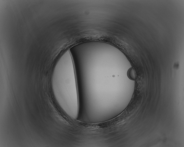 X0000097810642200803140800