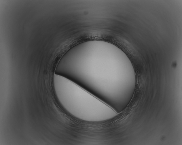 X0000097810645200803140800