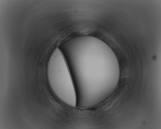 X0000097810646200803140800