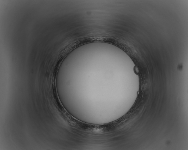X0000097810647200803140800