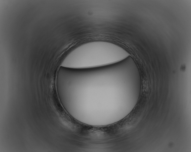 X0000097810648200803140800