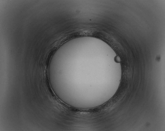 X0000097810649200803140800